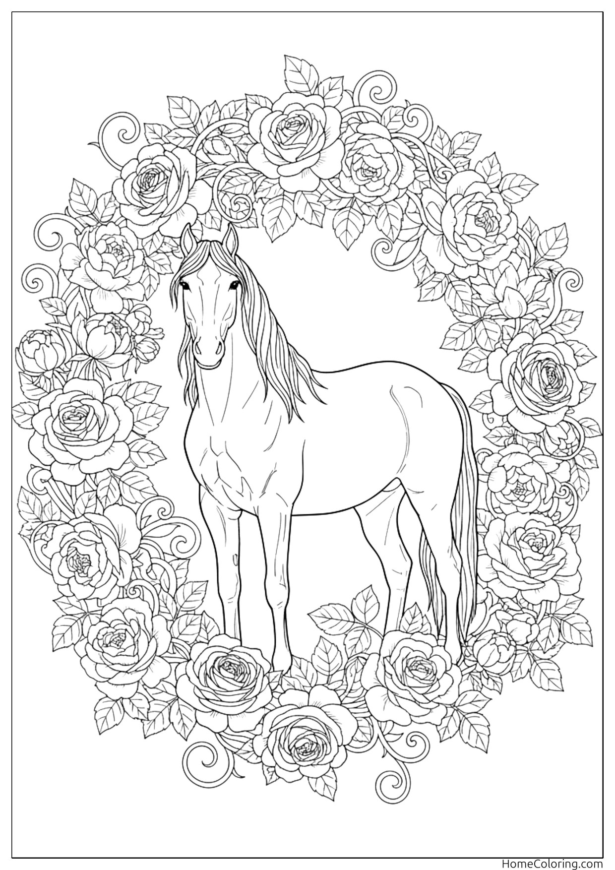 Coloring page: a friendly horse standing on a meadow.