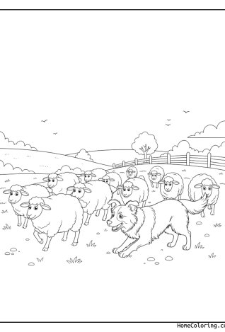 Malvorlage: ein Border Collie, der Schafe hütet.