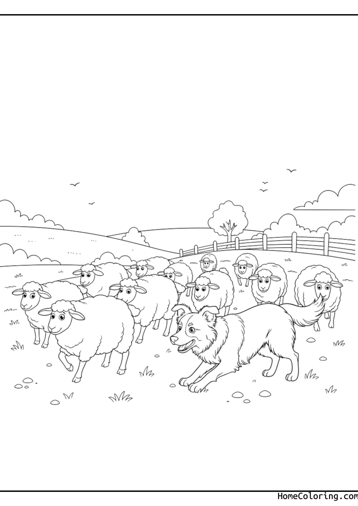 Coloring page: a Border Collie herding sheep in a field.