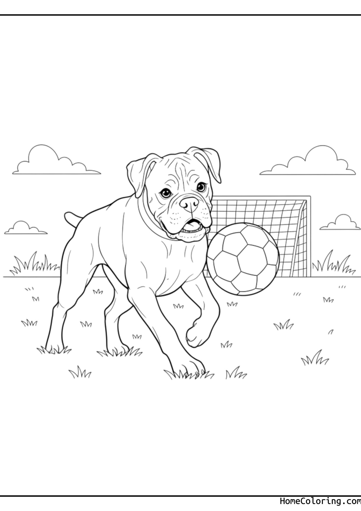 Coloring page: a strong boxer dog standing proudly.