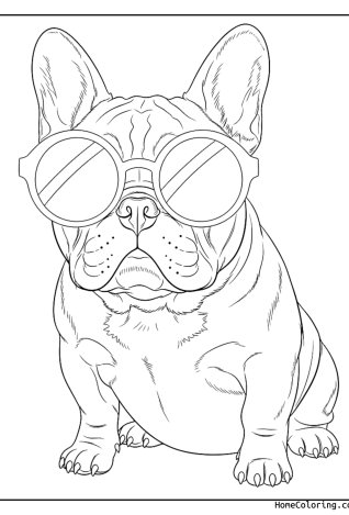 Malvorlage: eine französische Bulldogge mit Sonnenbrille.