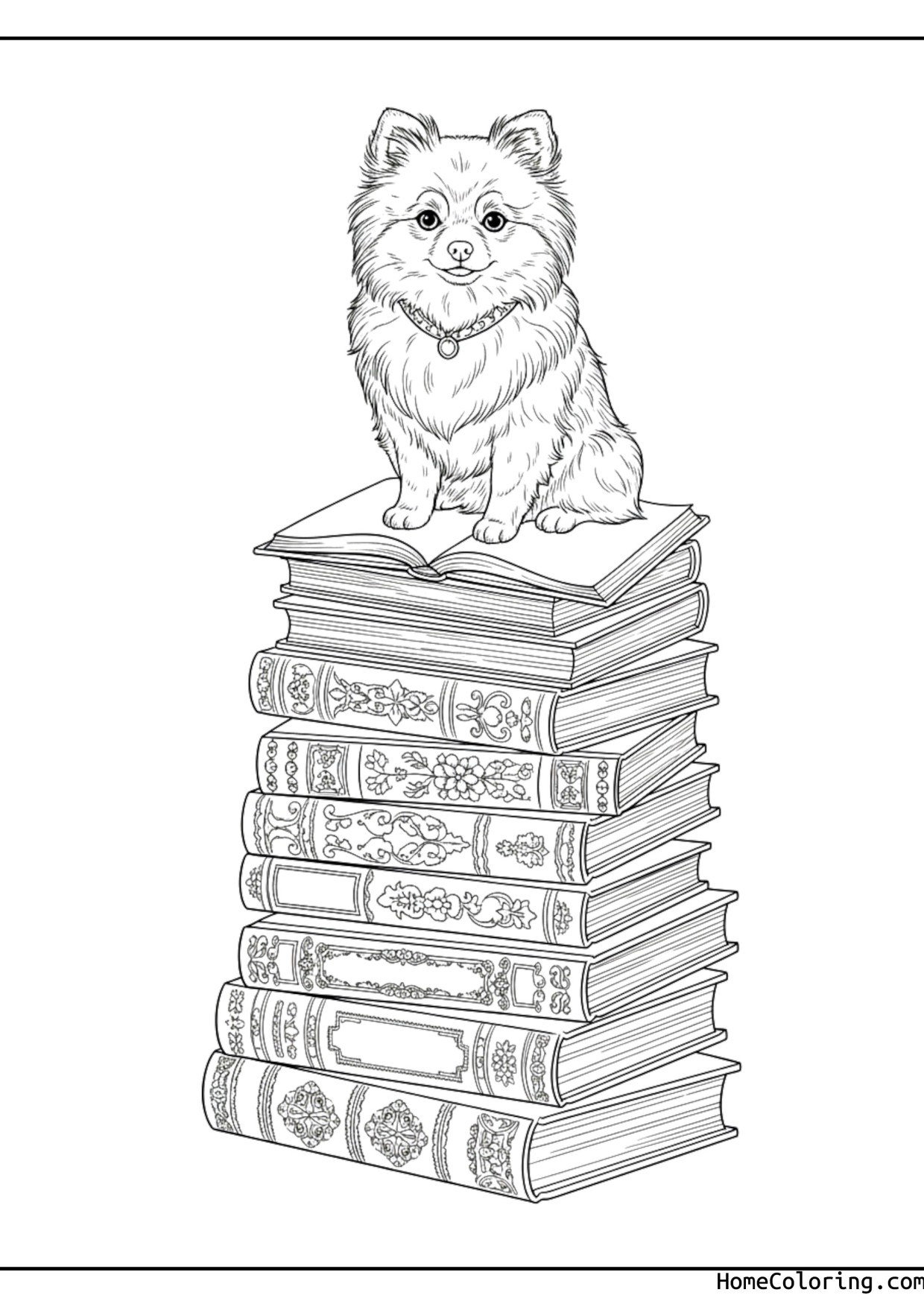 Coloring page: a pomeranian sitting on a stack of books.