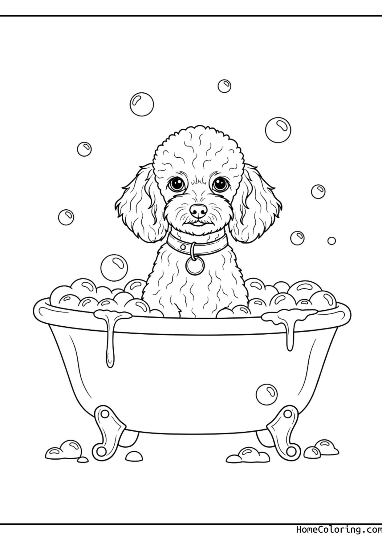 Coloring page: a poodle in a bath tub full of bubbles.