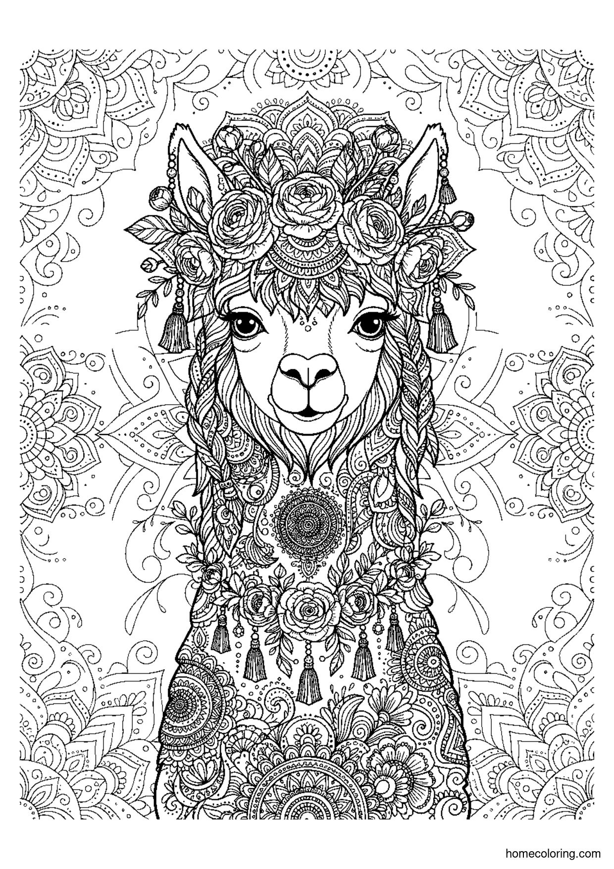Coloring page: Boho Alpaca Mandala.