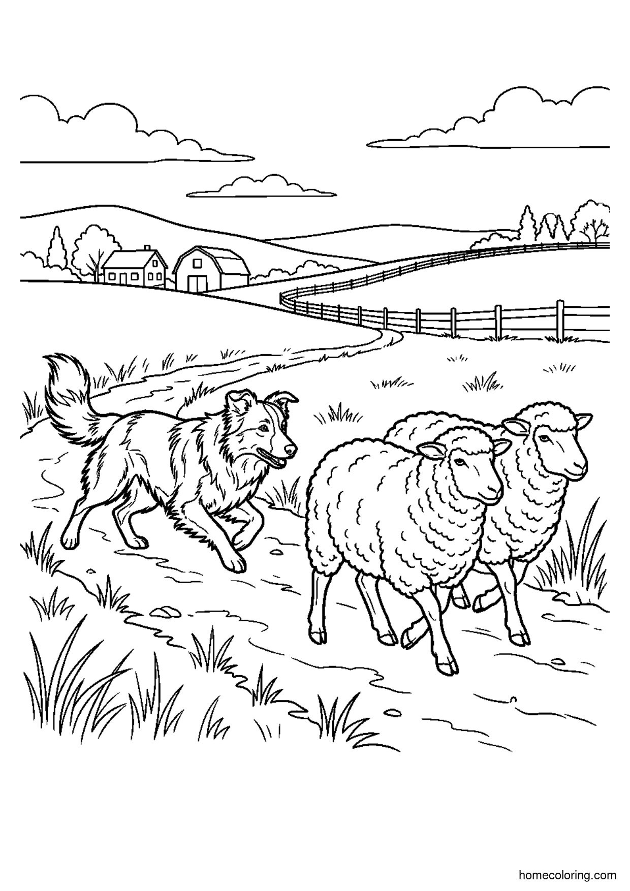Coloring page: Border Collie Herding Sheep.