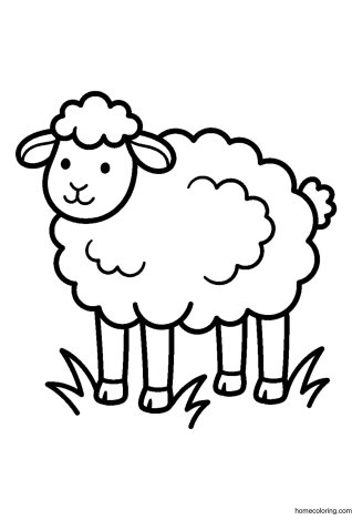 Coloring page: Fluffy Sheep.