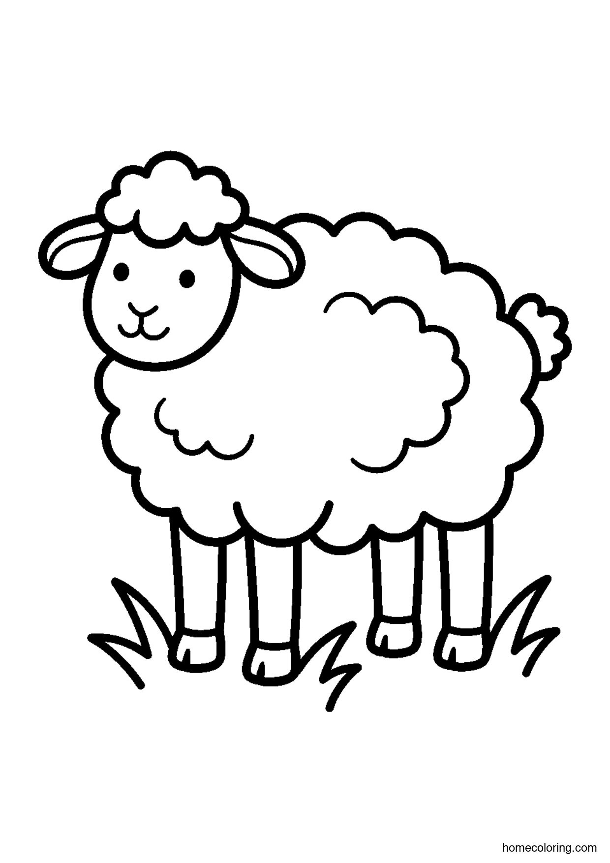 Coloring page: Fluffy Sheep.