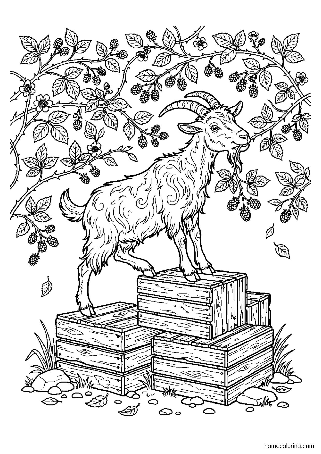 Coloring page: Goat on Crates.