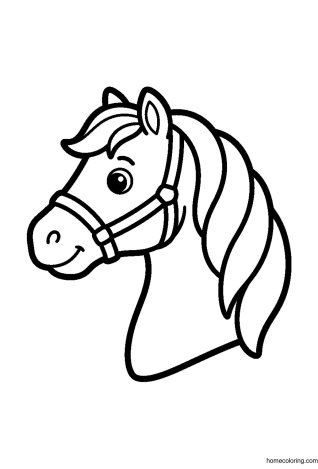 Coloring page: Horse Head.