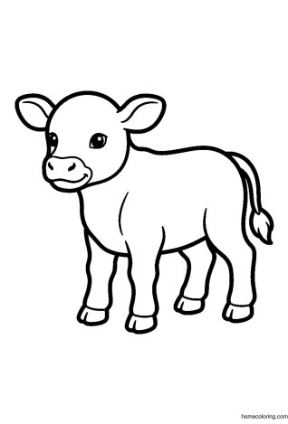 Coloring page: Baby Calf.