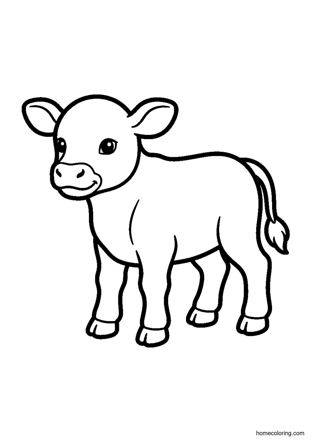 Coloring page: Baby Calf.