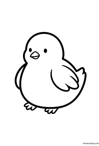 Coloring page: Baby Chick.
