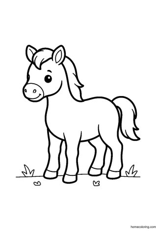 Coloring page: Baby Foal.