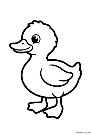 Coloring page: Little Duckling.