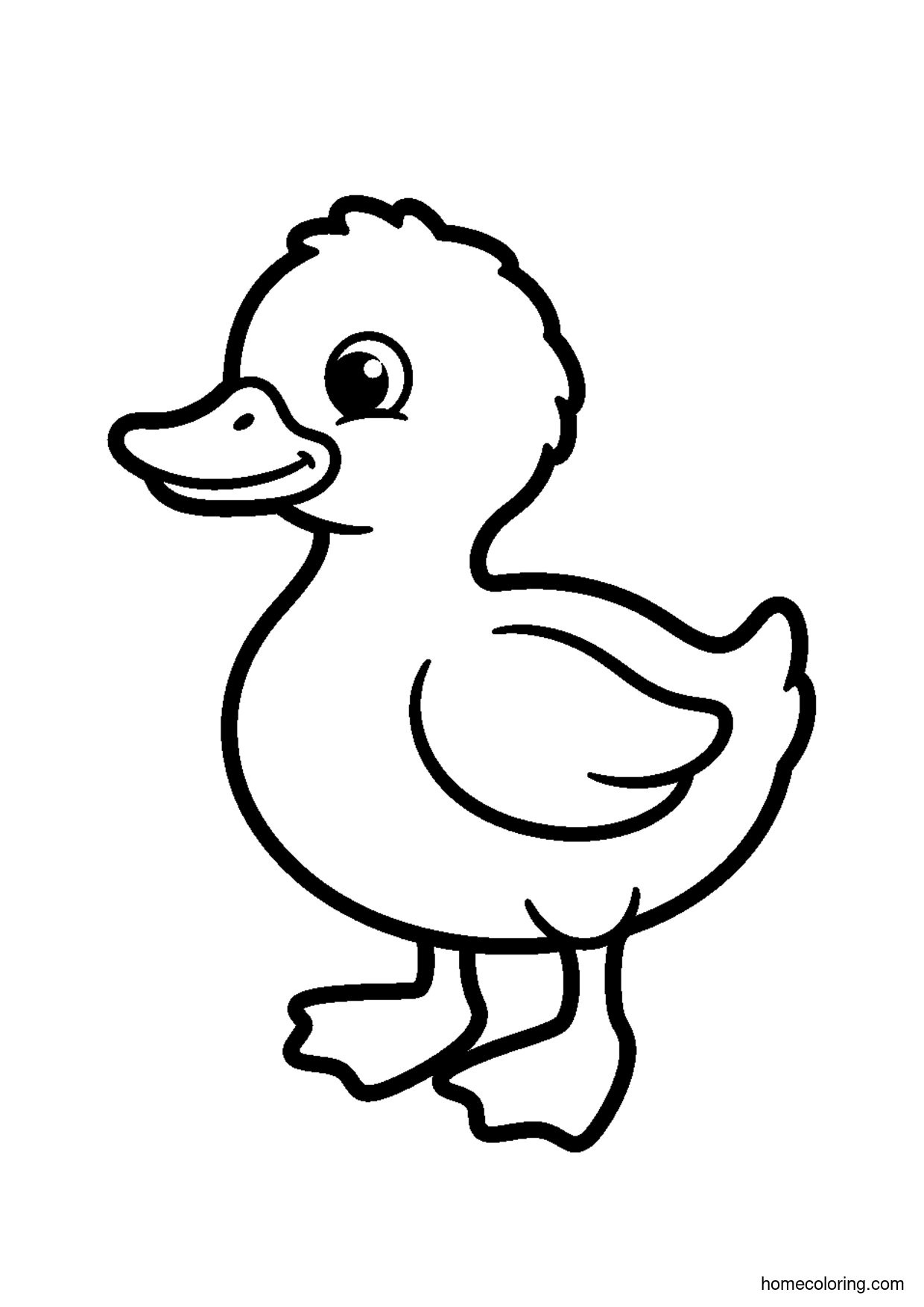 Coloring page: Little Duckling.