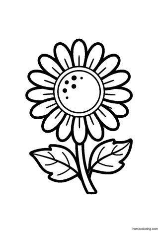 Coloring page: Sunflower.
