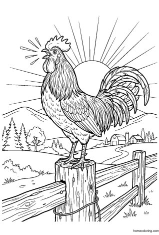 Coloring page: Crowing Rooster.