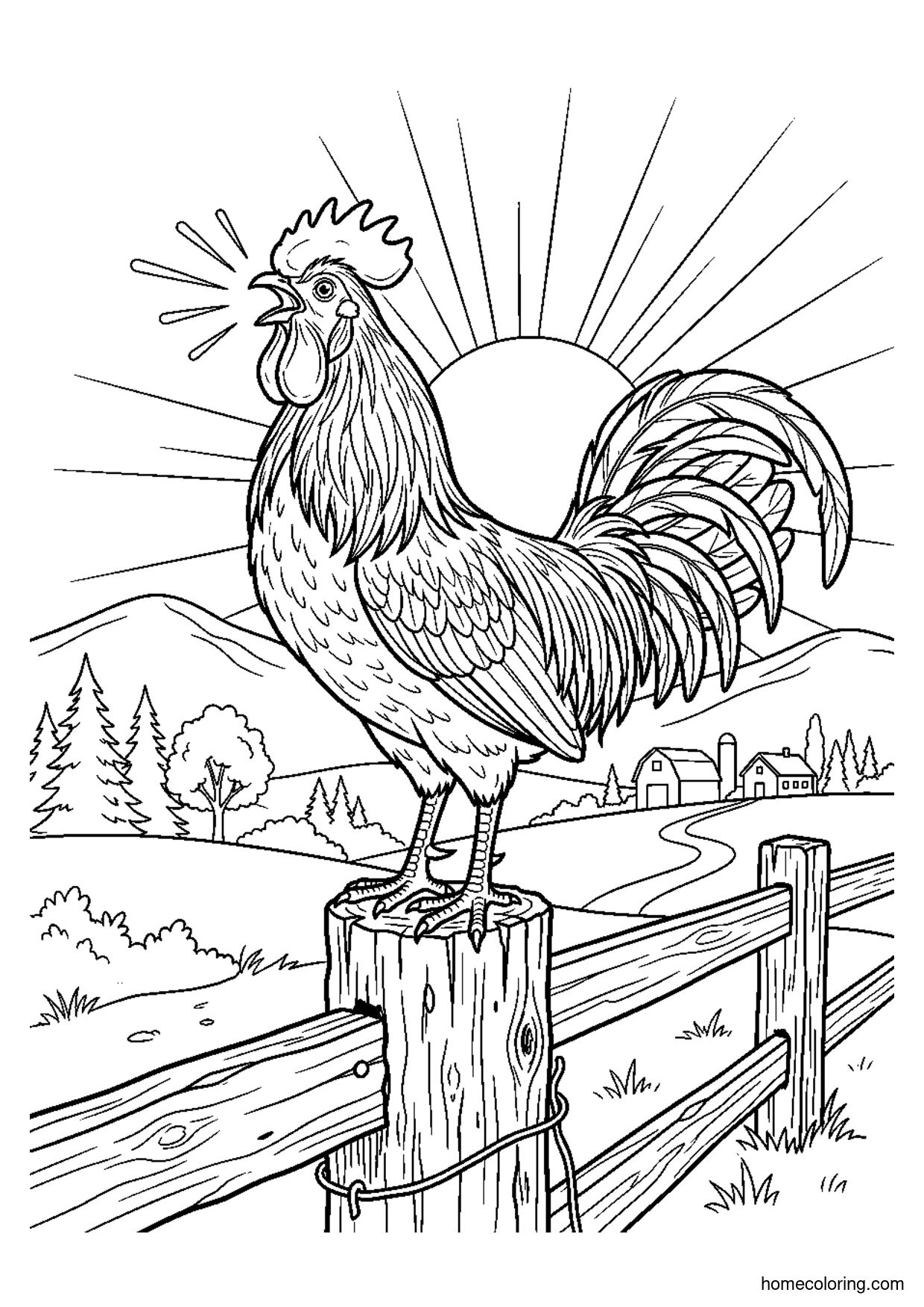 Coloring page: Crowing Rooster.