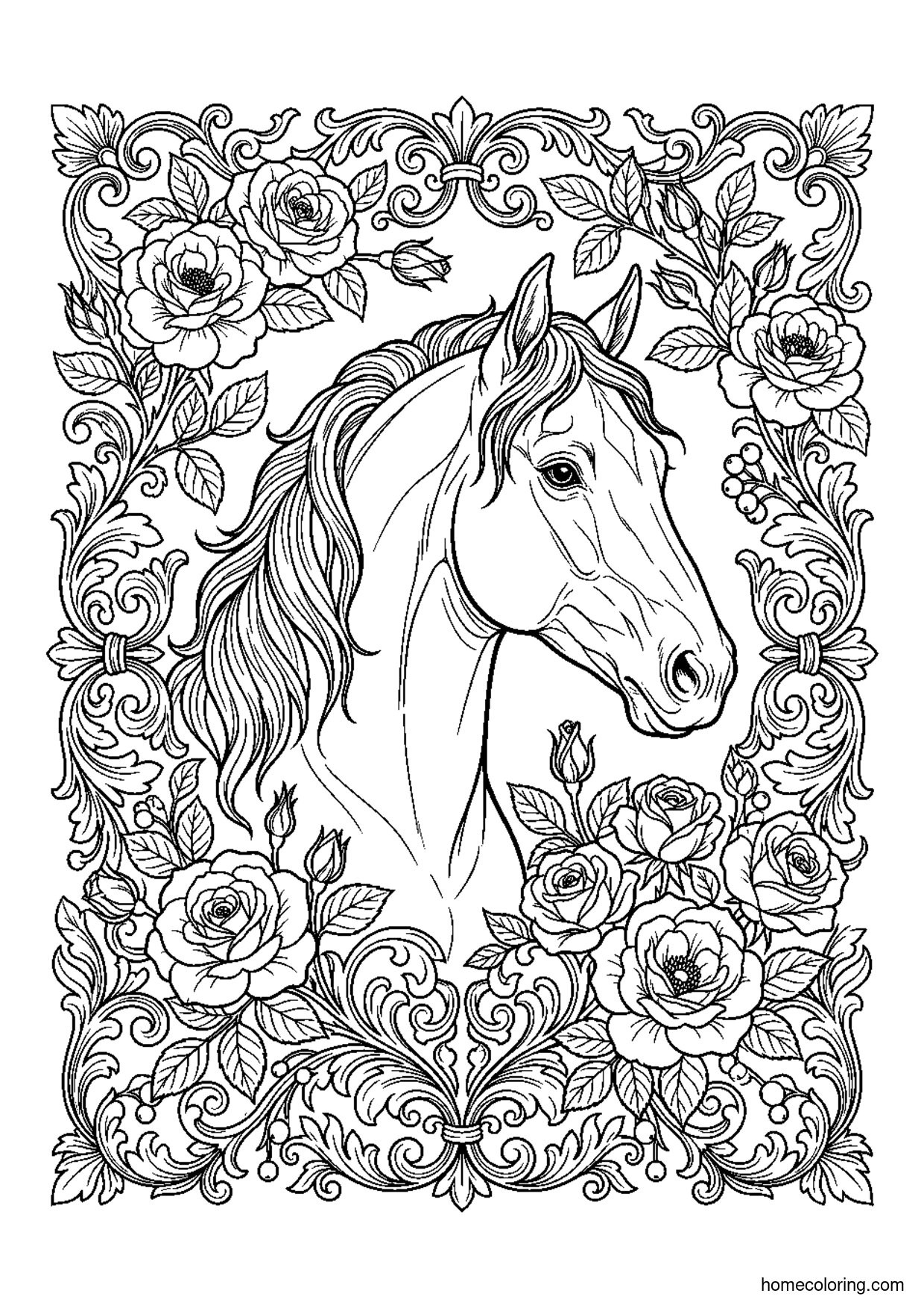 Coloring page: Stallion with Botanical Border.