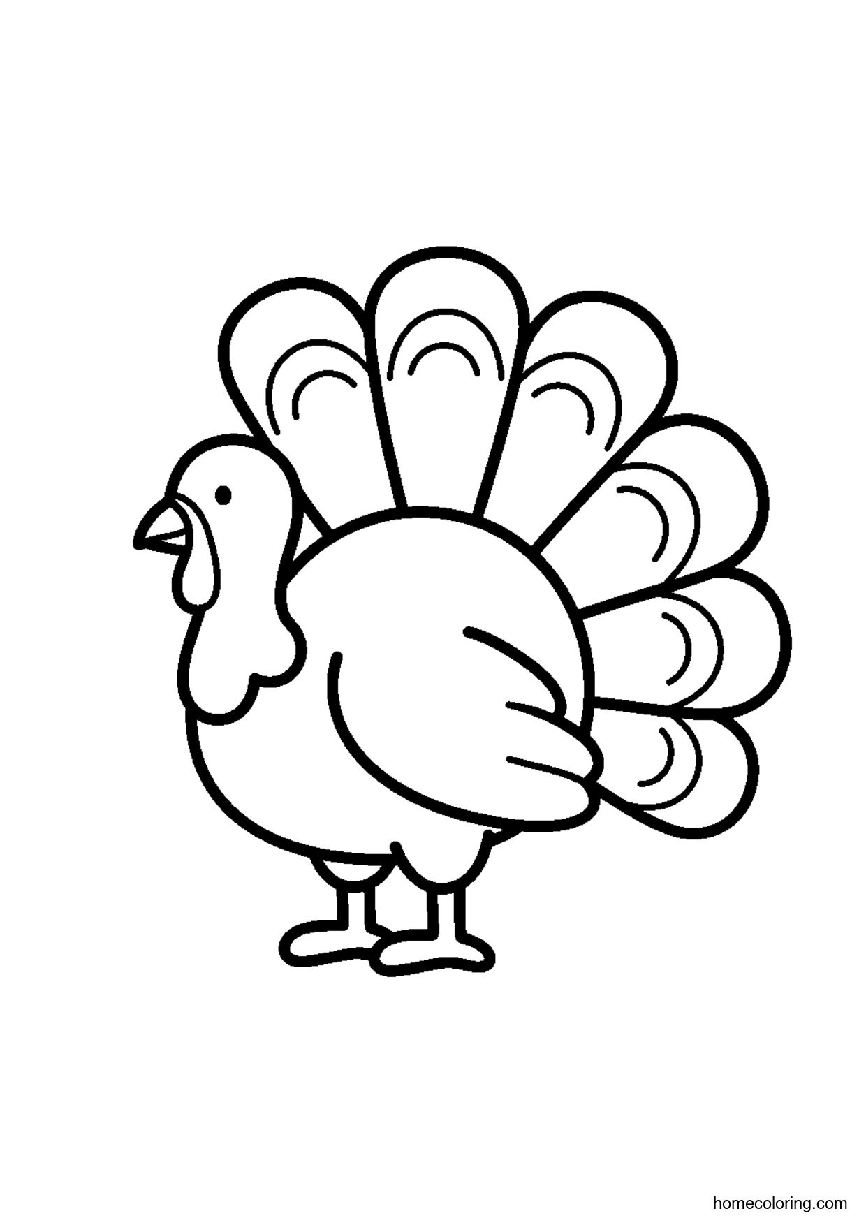 Coloring page: Turkey.