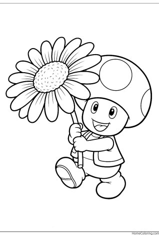 Coloring page: Toad holding a big daisy with many petals.