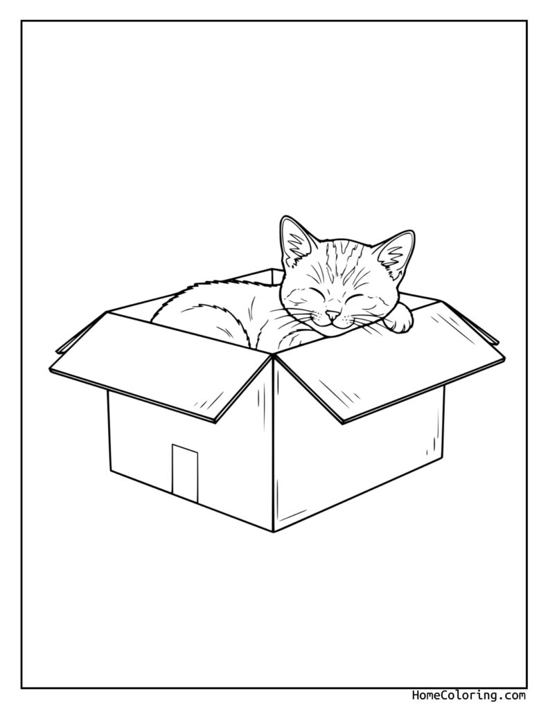 Cat in a box coloring page showing a sleeping kitten curled up inside an open cardboard box with flaps visible